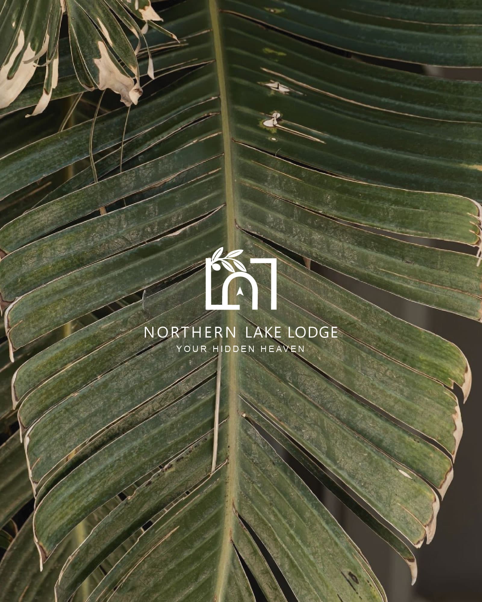 Northern Lake Lodge: Branding, content production, spatial design, and a booking-channel audit for Northern Lake Lodge.
