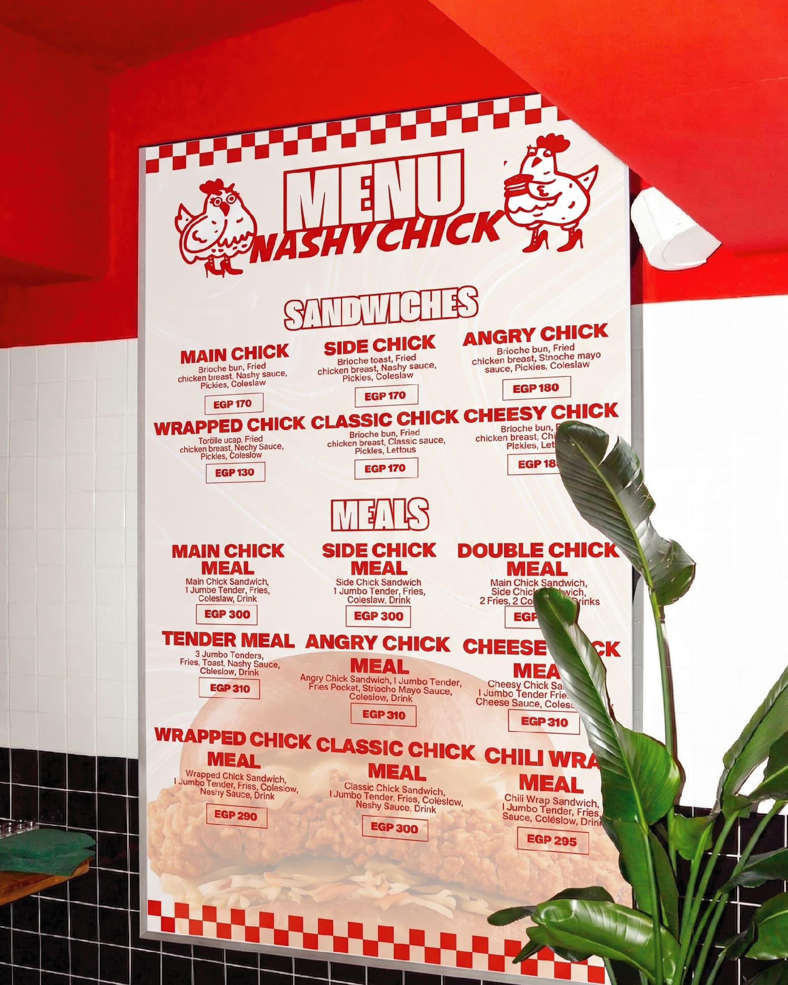 Nashy Chick